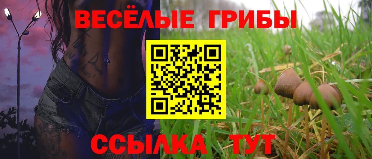 Киселёвск  Галлюциногенные грибы GOLDEN TEACHER  Вход с VPN 