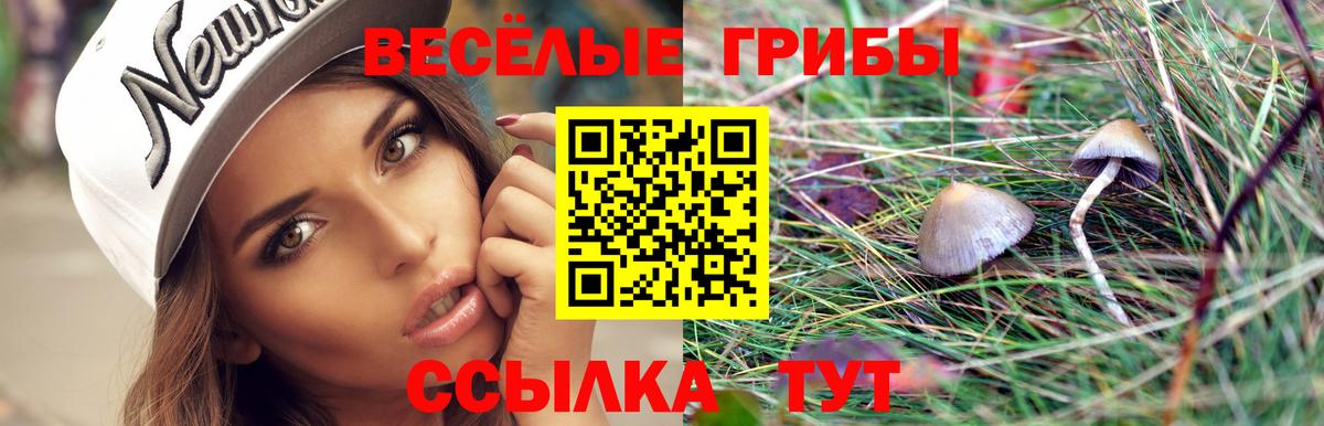 Псилоцибиновые грибы GOLDEN TEACHER Киселёвск